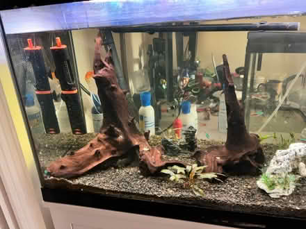 Photo of free Fish tanks and accessories (Crowthorne RG45) #2
