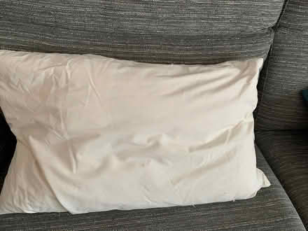 Photo of free Feather pillow (Luton LU1) #1