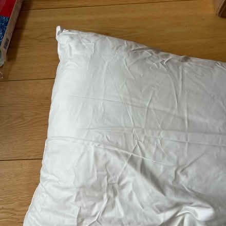 Photo of free IKEA cushion 50x60cm (Angel N1) #2