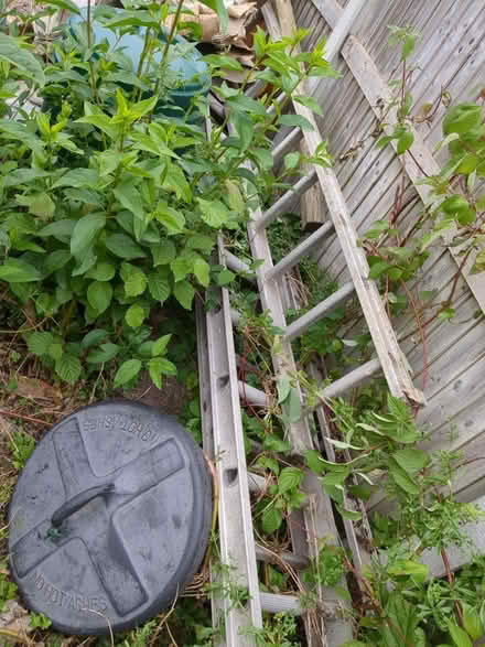 Photo of free 3 tier ladder (Ipswich IP1) #1