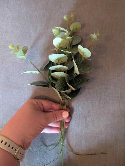 Photo of free Faux Eucalyptus for flower arranging (Wokingham RG41) #2