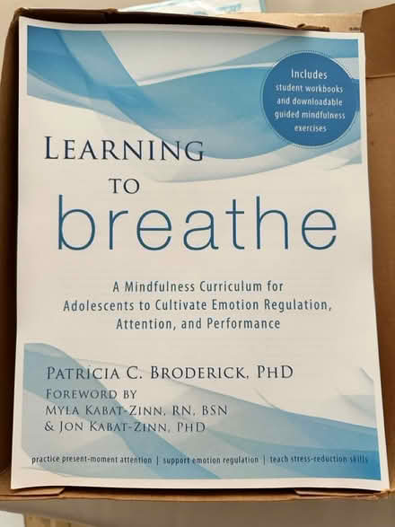 Photo of free Meditation curriculum (Brooklyn) #1