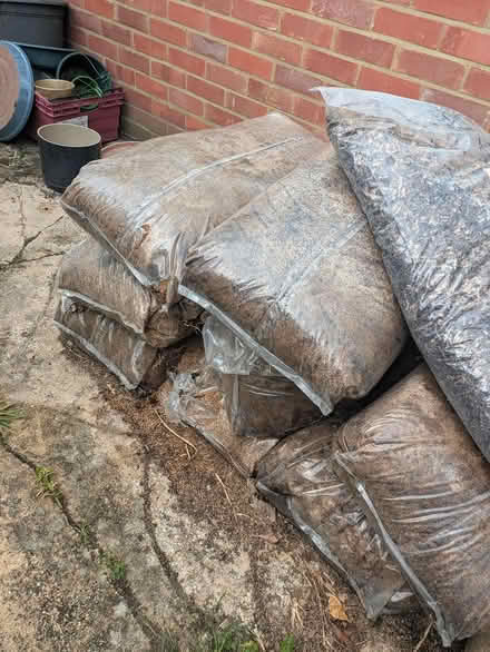 Photo of free Oak sawdust (Castlepoint BH8) #1