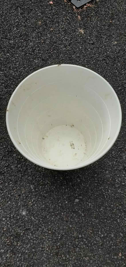 Photo of free Ikea bin (WA5) #2