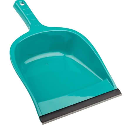 Photo of Dust Pan (BN1) #1