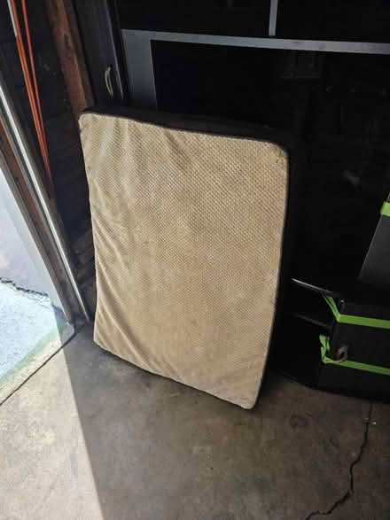 Photo of free Dog pillow (Randallstown) #2