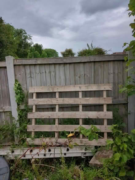 Photo of free Pallet (Ipswich IP1) #1