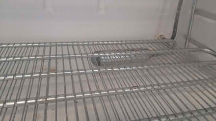 Photo of free Freezer (Newington EH9) #4