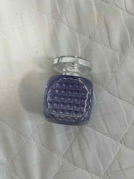 Photo of free Jimmy Choo Flash (Euston WC1H) #1