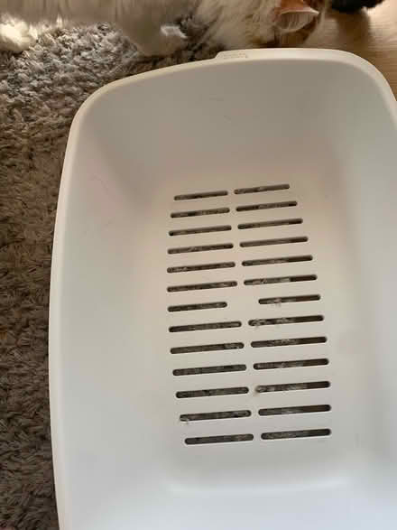 Photo of free Girls bike (Burbank Glendale N Hollywood) #2