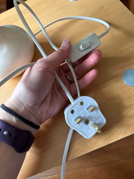 Photo of free Lamp (Norton Lees S8) #3