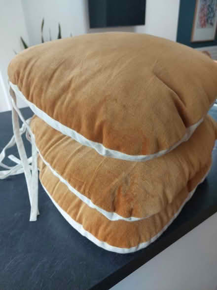 Photo of free Dining chair seat pads (MK43) #1