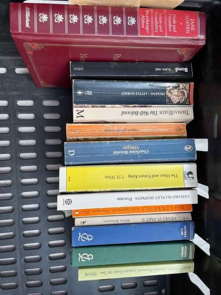 Photo of free Bundle of classic literature (Ramslye TN4) #1