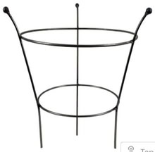 Photo of Metal or iron plant support / stakes (Bovey Tracey TQ13) #2