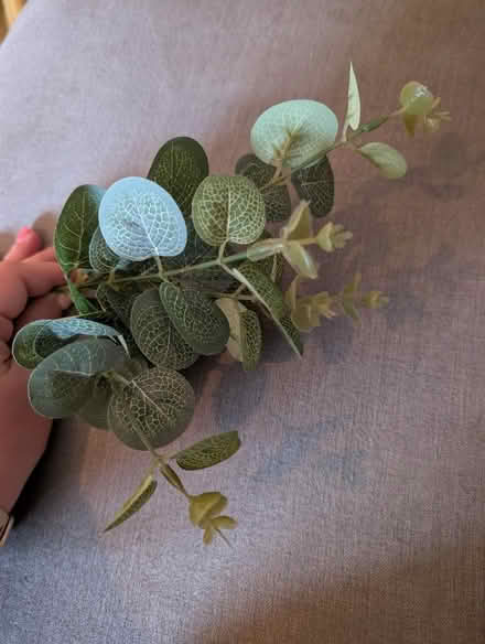 Photo of free Faux Eucalyptus for flower arranging (Wokingham RG41) #1