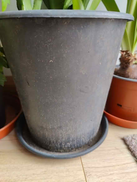 Photo of Plant pot (Bare LA4) #1