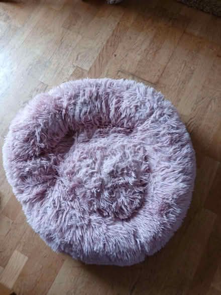 Photo of free Dog doughnut bed (Carbis Bay TR26) #1