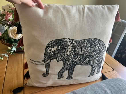 Photo of free Cushion with Elephant (Polegate BN24) #1