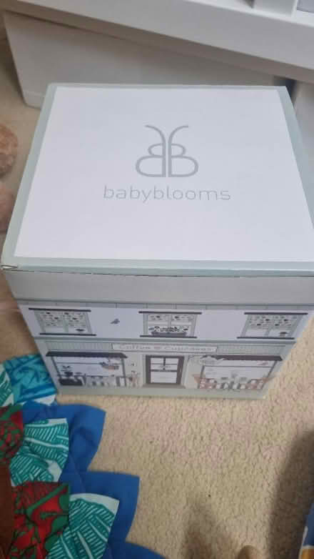 Photo of free Baby blooms fake flower gift set (Blackheath Royal Standard SE3) #4