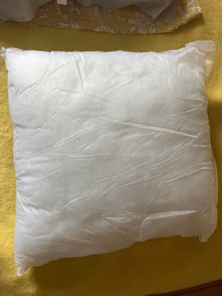 Photo of free 44 cm/18 inch cushion inner (Bletchley MK2) #1