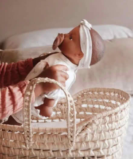 Photo of Doll basket and clothes (Barnard's Green WR14) #1