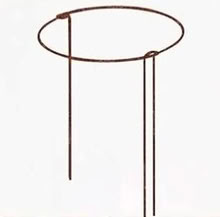 Photo of Metal or iron plant support / stakes (Bovey Tracey TQ13) #1