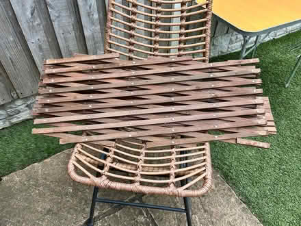Photo of free Garden trellis x2 (Barnsley S70) #1
