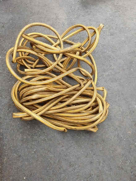 Photo of free Long hose (Ebley) #1