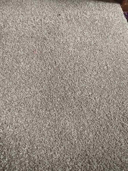 Photo of free carpet (Alkrington M24) #1