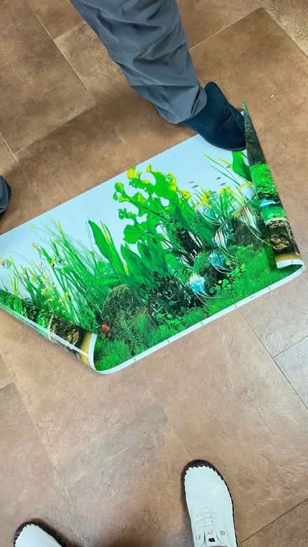 Photo of free Fish tank back ground (WD6) #1