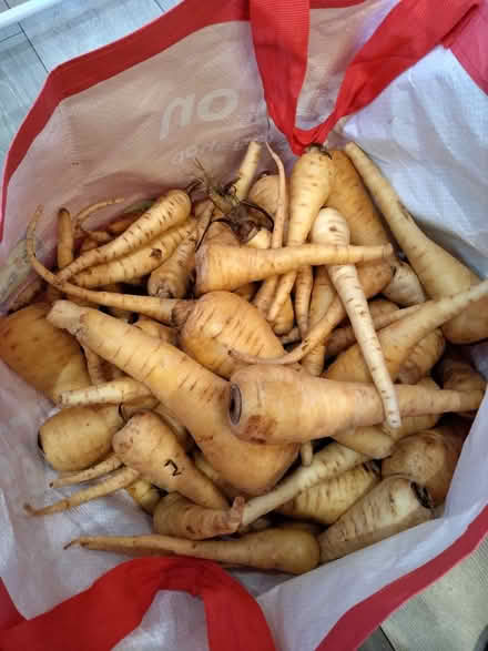 Photo of free Different types of food (New Addington) #1