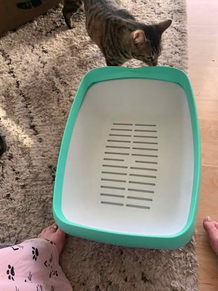 Photo of free Girls bike (Burbank Glendale N Hollywood) #4