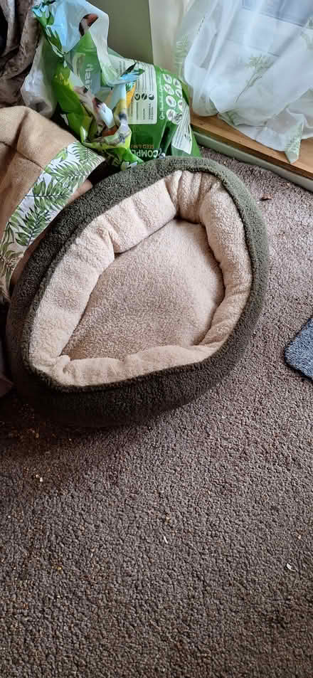 Photo of free Pet bed (Denton M34) #1