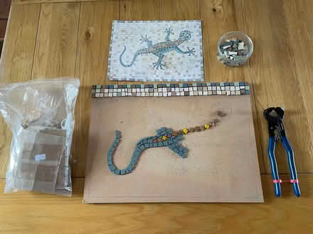 Photo of free Mosaic craft set gecko (Galgate LA2) #1
