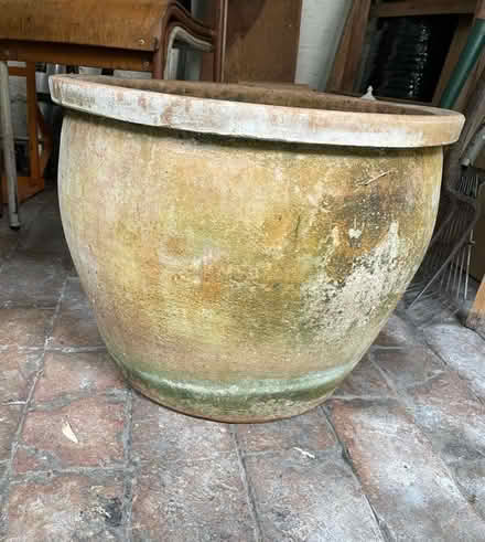 Photo of free Very large terracotta pot (Shrewsbury SY1) #1