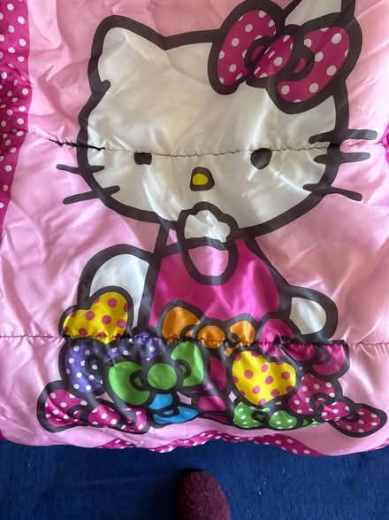 Photo of free Used child sleeping bag pink (Albany near Santa Fe Ave) #1