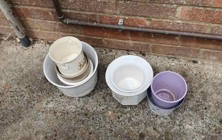 Photo of free Plant pots (CT7) #1