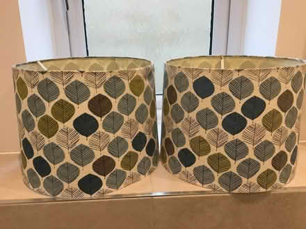 Photo of free Two lamp shades 30cm diameter (West Oxfordshire OX29) #1