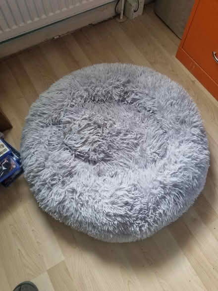 Photo of free Donut dog bed. Medium (Coldean BN1) #1