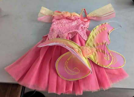 Photo of free Sugar plum fairy outfit (St Albans AL1) #1