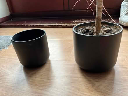 Photo of free Two indoor plant pot (Eastcote HA4) #2