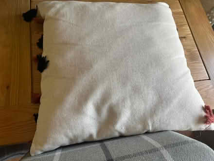 Photo of free Cushion with Elephant (Polegate BN24) #4