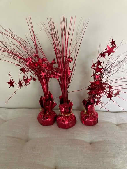 Photo of free party decorations (Havertown) #1