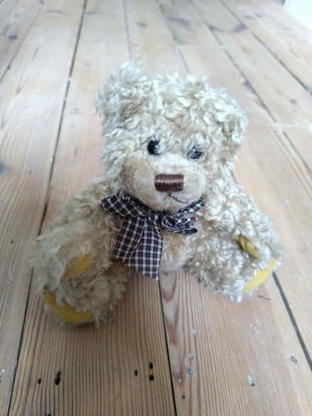 Photo of free Small teddy (Marston OX3) #1