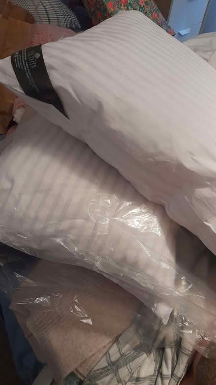 Photo of free Pillows (Chaddesden DE21) #1