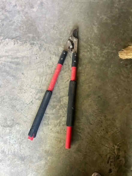 Photo of free Pruning lopper (Neelsville) #1