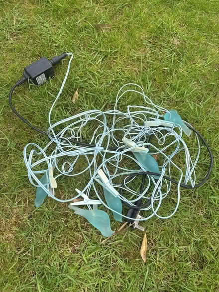 Photo of free Outdoor bird lights (M20 didsbury) #1