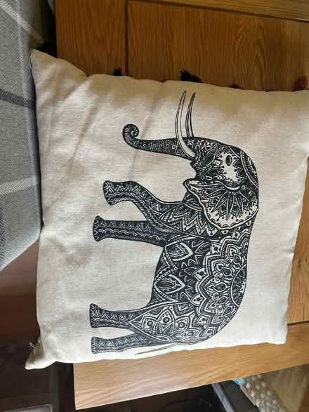 Photo of free Cushion with Elephant (Polegate BN24) #2