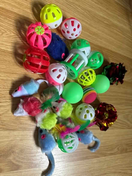 Photo of free Cat toy bundle (Brookvale RG21) #1