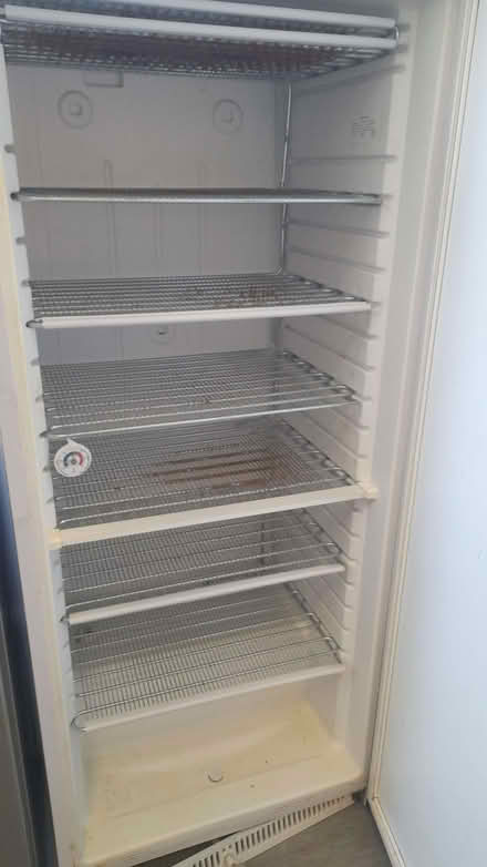 Photo of free Freezer (Newington EH9) #3